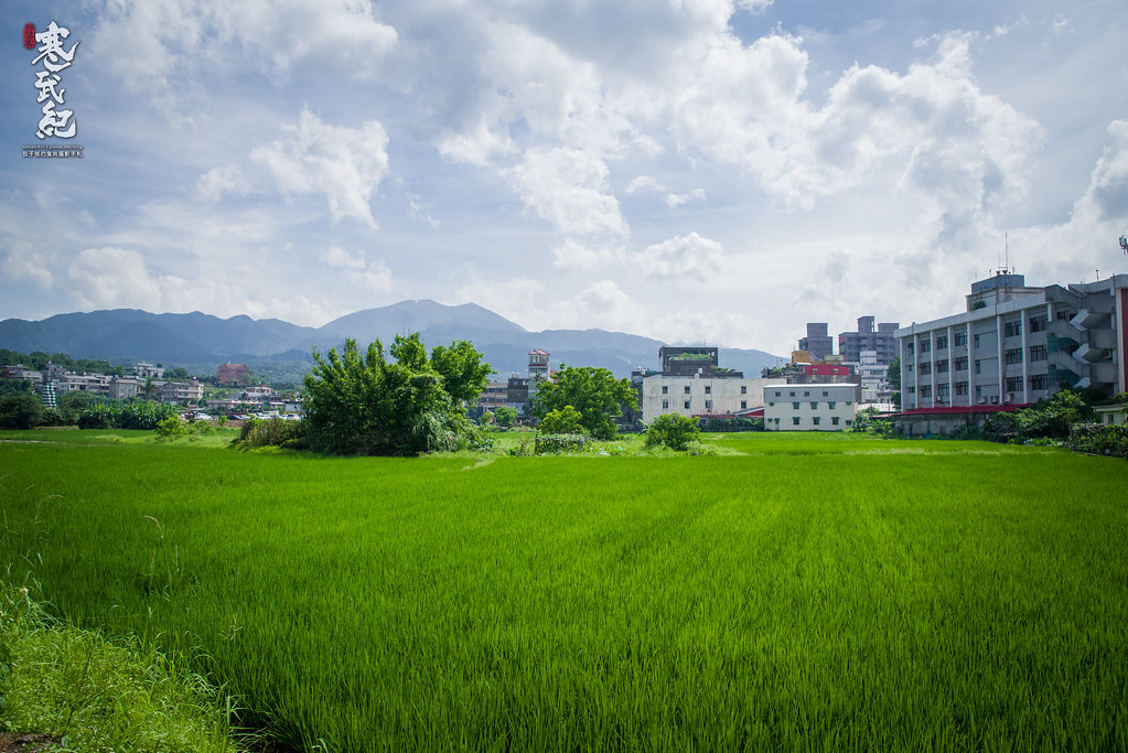 【開箱‧評測】HD PENTAX-D FA 24-70mm F2.8 ED SDM WR|標準變焦鏡皇‧K-1一鏡走天涯! 【開箱‧評測】HD PENTAX-D FA 24-70mm F2.8 ED SDM WR|標準變焦鏡皇‧K-1一鏡走天涯!