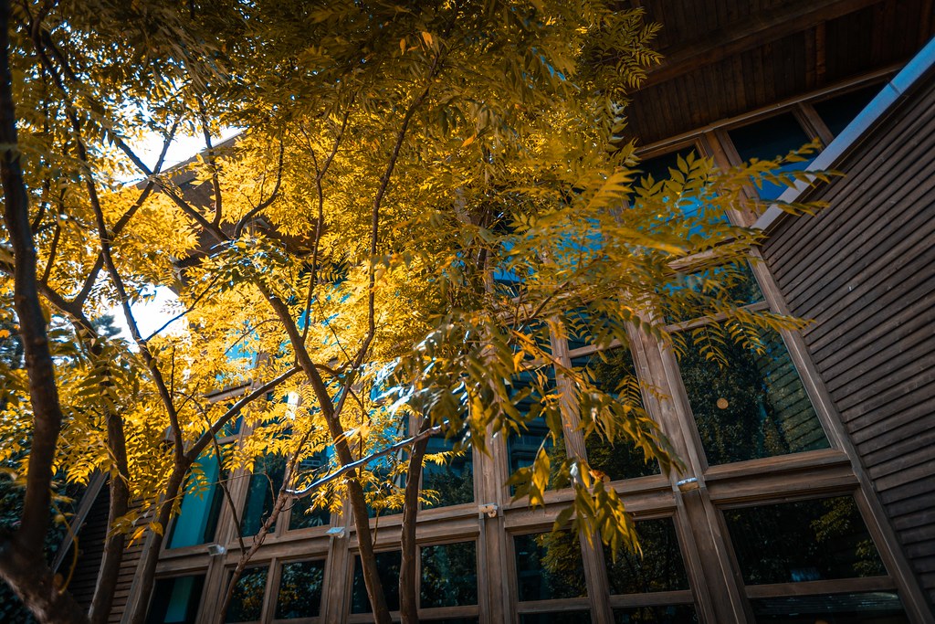 20201014-958A9091