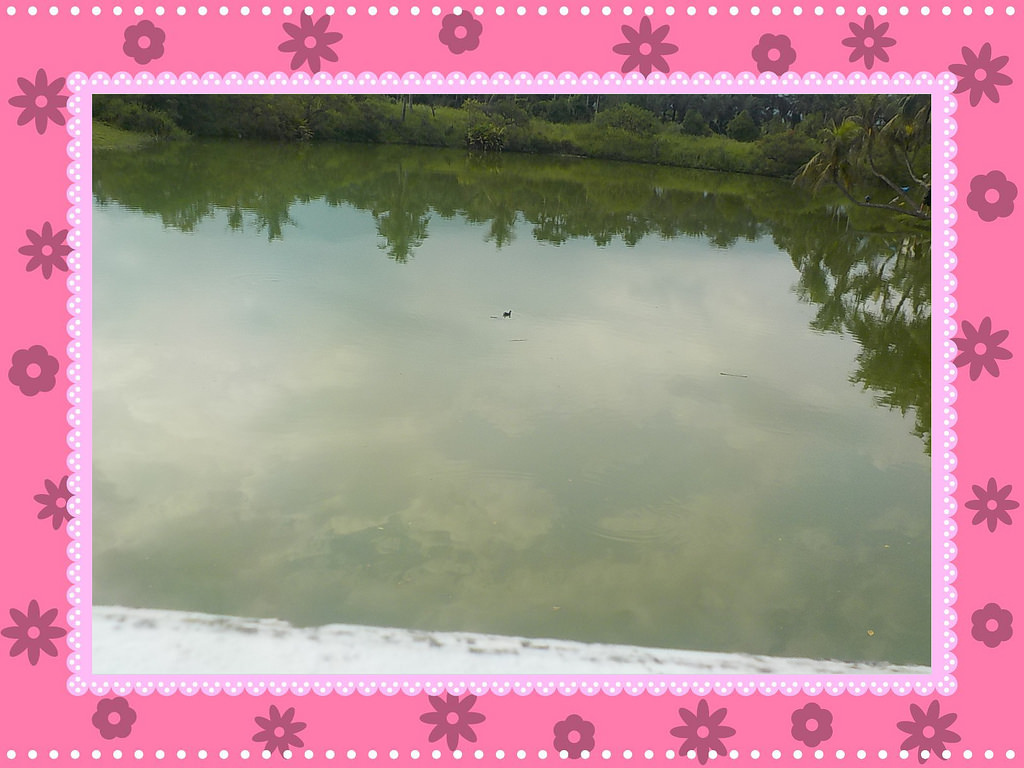 【中肯‧開箱】NIKON COOLPIX W100|小包子的第一台相機‧防水耐候防摔‧SnapBridge藍芽即時上傳‧上山下海精彩無極限! 【中肯‧開箱】NIKON COOLPIX W100|小包子的第一台相機‧防水耐候防摔‧SnapBridge藍芽即時上傳‧上山下海精彩無極限!