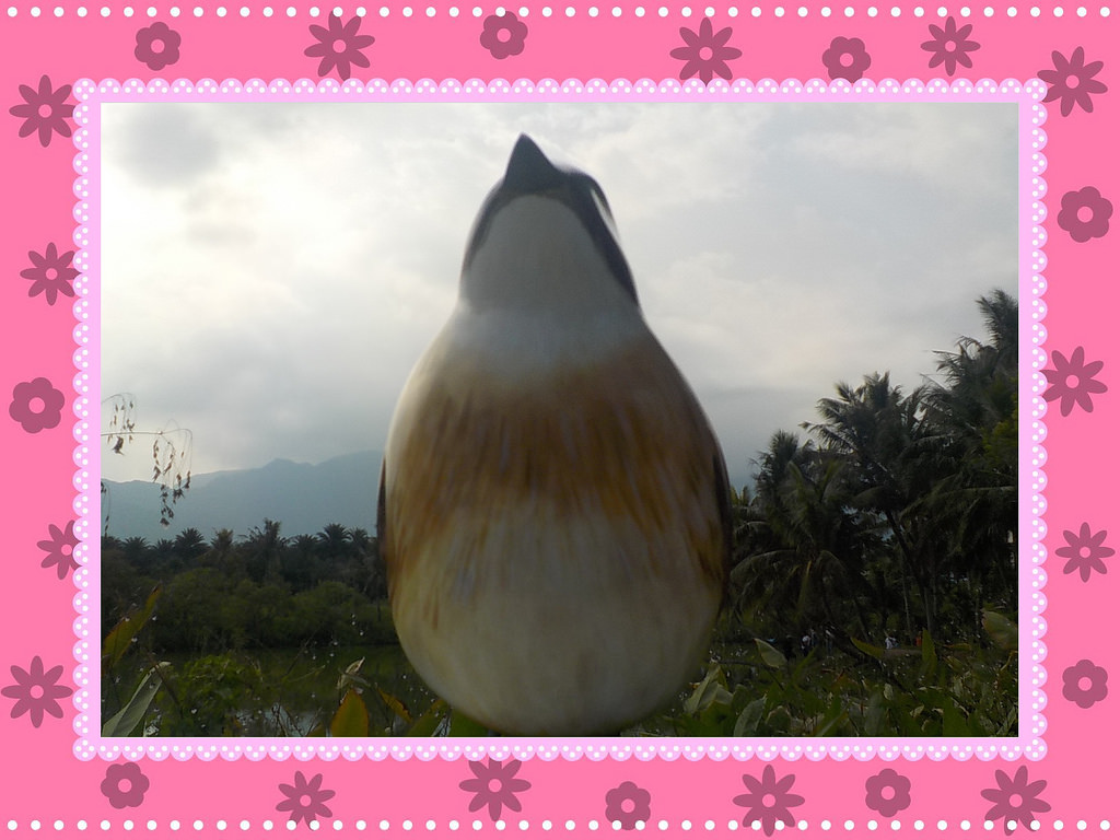 【中肯‧開箱】NIKON COOLPIX W100|小包子的第一台相機‧防水耐候防摔‧SnapBridge藍芽即時上傳‧上山下海精彩無極限! 【中肯‧開箱】NIKON COOLPIX W100|小包子的第一台相機‧防水耐候防摔‧SnapBridge藍芽即時上傳‧上山下海精彩無極限!