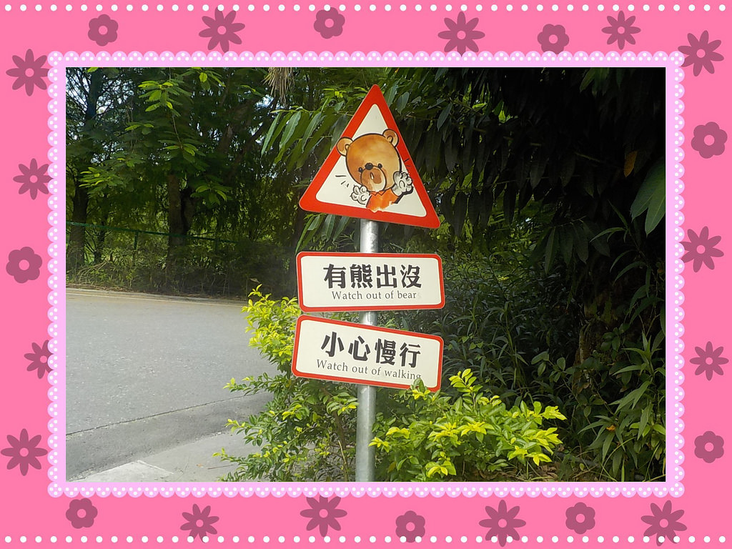 【中肯‧開箱】NIKON COOLPIX W100|小包子的第一台相機‧防水耐候防摔‧SnapBridge藍芽即時上傳‧上山下海精彩無極限! 【中肯‧開箱】NIKON COOLPIX W100|小包子的第一台相機‧防水耐候防摔‧SnapBridge藍芽即時上傳‧上山下海精彩無極限!