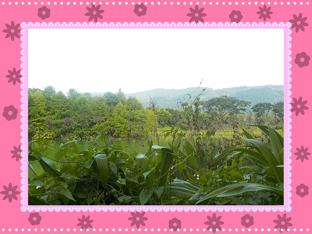 【中肯‧開箱】NIKON COOLPIX W100|小包子的第一台相機‧防水耐候防摔‧SnapBridge藍芽即時上傳‧上山下海精彩無極限! 【中肯‧開箱】NIKON COOLPIX W100|小包子的第一台相機‧防水耐候防摔‧SnapBridge藍芽即時上傳‧上山下海精彩無極限!