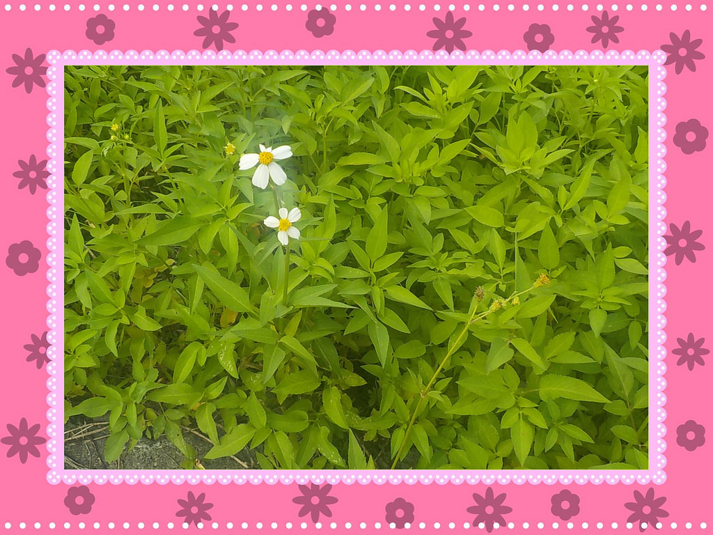 【中肯‧開箱】NIKON COOLPIX W100|小包子的第一台相機‧防水耐候防摔‧SnapBridge藍芽即時上傳‧上山下海精彩無極限! 【中肯‧開箱】NIKON COOLPIX W100|小包子的第一台相機‧防水耐候防摔‧SnapBridge藍芽即時上傳‧上山下海精彩無極限!