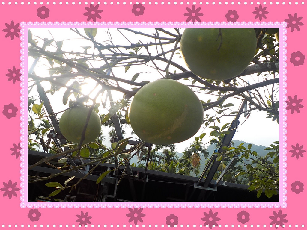 【中肯‧開箱】NIKON COOLPIX W100|小包子的第一台相機‧防水耐候防摔‧SnapBridge藍芽即時上傳‧上山下海精彩無極限! 【中肯‧開箱】NIKON COOLPIX W100|小包子的第一台相機‧防水耐候防摔‧SnapBridge藍芽即時上傳‧上山下海精彩無極限!