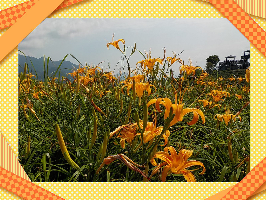 【中肯‧開箱】NIKON COOLPIX W100|小包子的第一台相機‧防水耐候防摔‧SnapBridge藍芽即時上傳‧上山下海精彩無極限! 【中肯‧開箱】NIKON COOLPIX W100|小包子的第一台相機‧防水耐候防摔‧SnapBridge藍芽即時上傳‧上山下海精彩無極限!