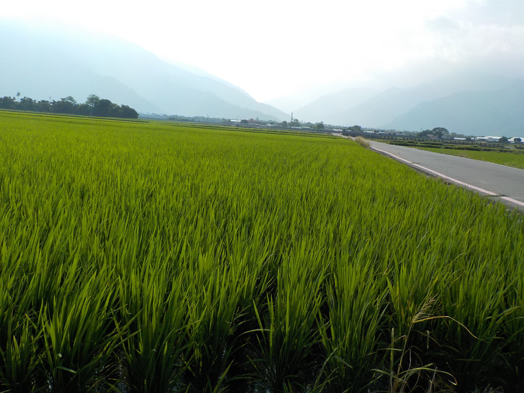 【中肯‧開箱】NIKON COOLPIX W100|小包子的第一台相機‧防水耐候防摔‧SnapBridge藍芽即時上傳‧上山下海精彩無極限! 【中肯‧開箱】NIKON COOLPIX W100|小包子的第一台相機‧防水耐候防摔‧SnapBridge藍芽即時上傳‧上山下海精彩無極限!