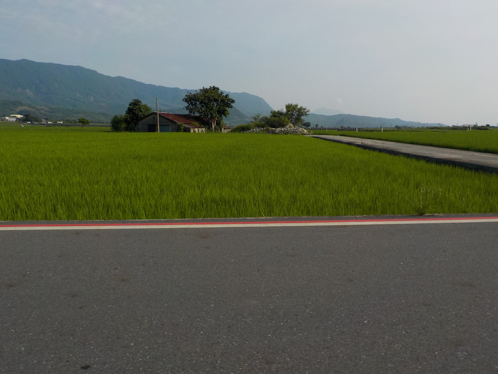 【中肯‧開箱】NIKON COOLPIX W100|小包子的第一台相機‧防水耐候防摔‧SnapBridge藍芽即時上傳‧上山下海精彩無極限! 【中肯‧開箱】NIKON COOLPIX W100|小包子的第一台相機‧防水耐候防摔‧SnapBridge藍芽即時上傳‧上山下海精彩無極限!