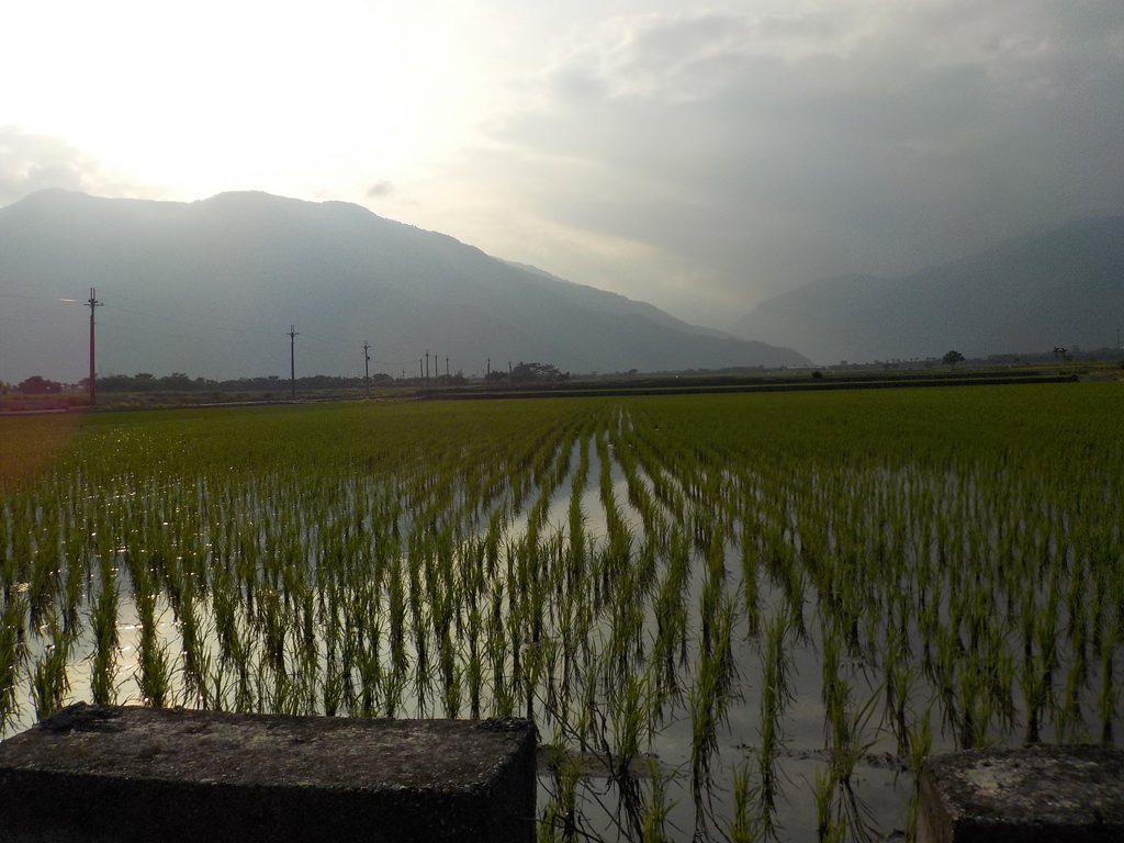 【中肯‧開箱】NIKON COOLPIX W100|小包子的第一台相機‧防水耐候防摔‧SnapBridge藍芽即時上傳‧上山下海精彩無極限! 【中肯‧開箱】NIKON COOLPIX W100|小包子的第一台相機‧防水耐候防摔‧SnapBridge藍芽即時上傳‧上山下海精彩無極限!