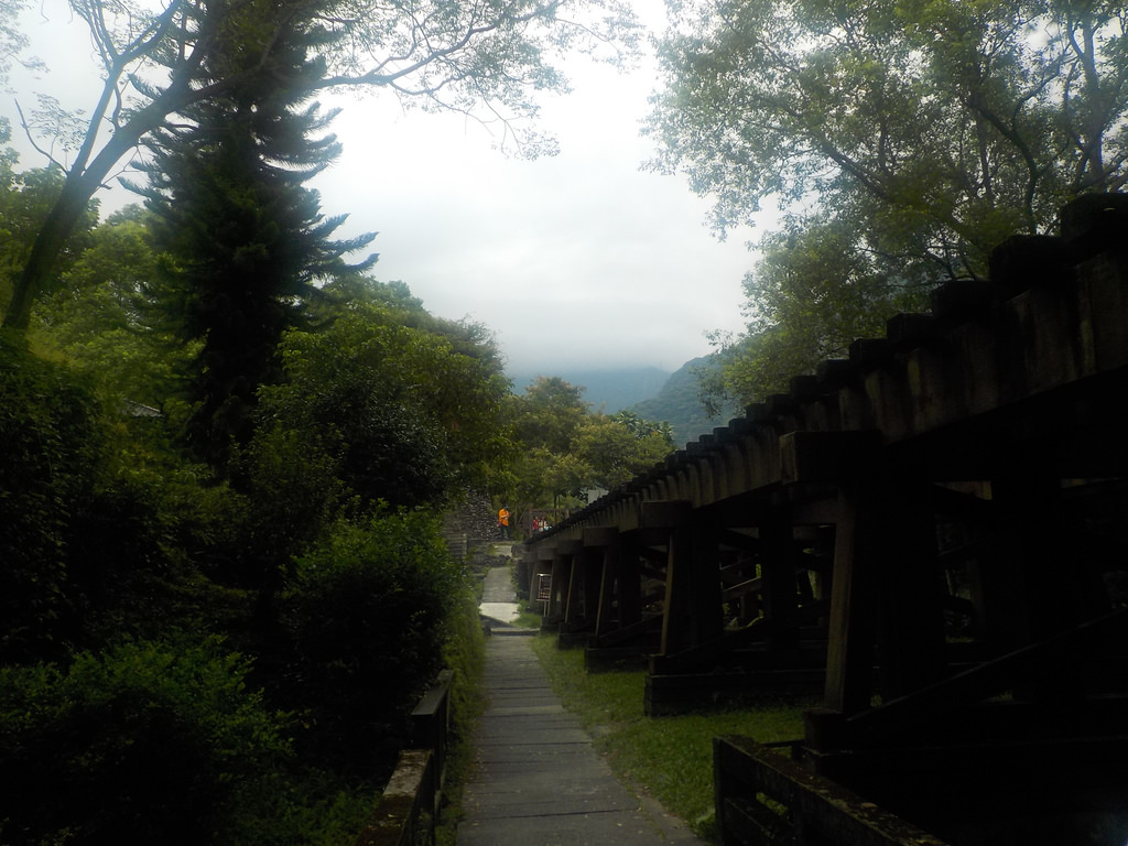 【中肯‧開箱】NIKON COOLPIX W100|小包子的第一台相機‧防水耐候防摔‧SnapBridge藍芽即時上傳‧上山下海精彩無極限! 【中肯‧開箱】NIKON COOLPIX W100|小包子的第一台相機‧防水耐候防摔‧SnapBridge藍芽即時上傳‧上山下海精彩無極限!