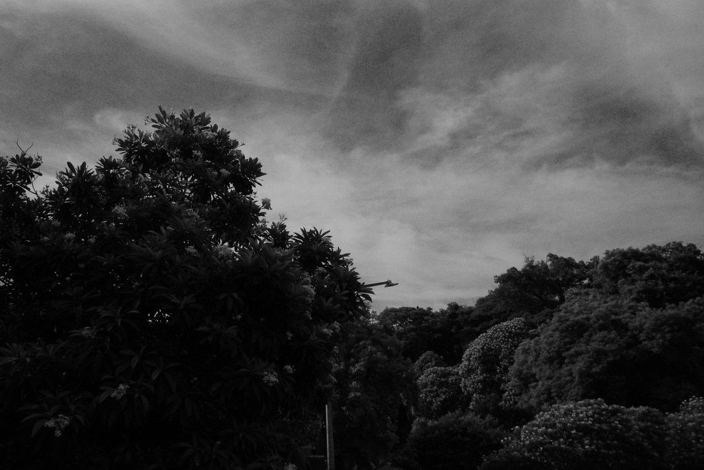 【開箱‧評測】HD PENTAX-D FA 24-70mm F2.8 ED SDM WR|標準變焦鏡皇‧K-1一鏡走天涯! 【開箱‧評測】HD PENTAX-D FA 24-70mm F2.8 ED SDM WR|標準變焦鏡皇‧K-1一鏡走天涯!