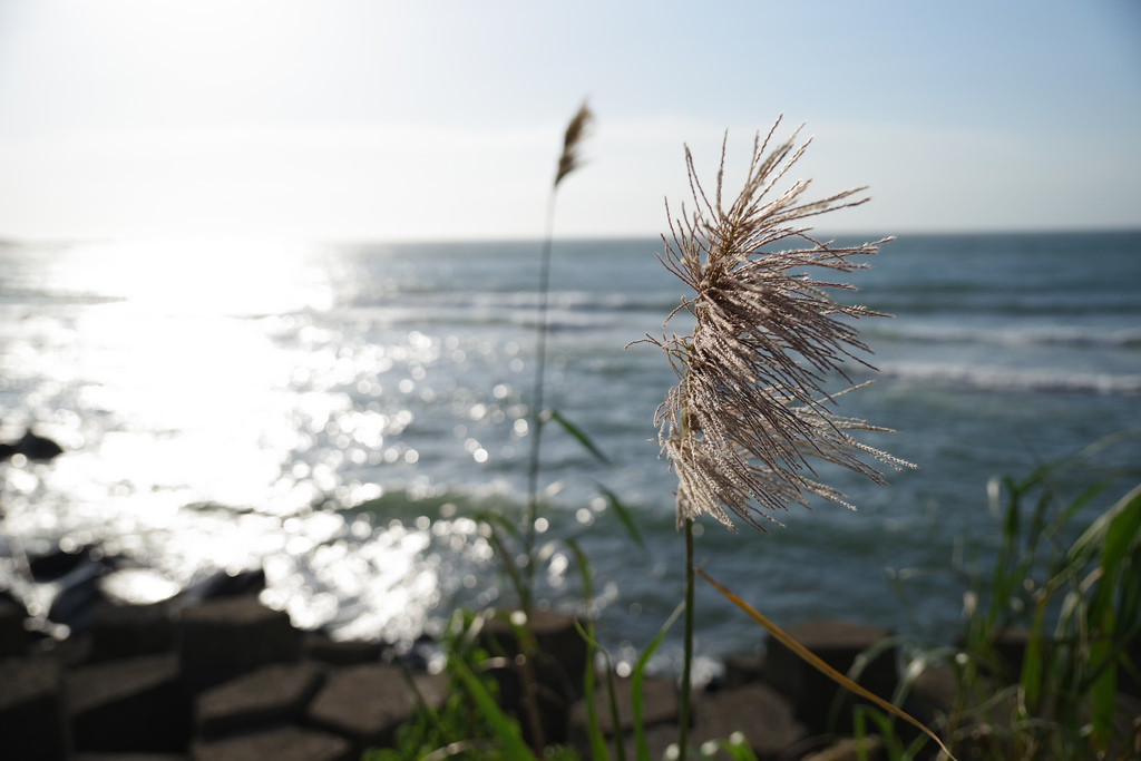 【開箱‧評測】HD PENTAX-D FA 24-70mm F2.8 ED SDM WR|標準變焦鏡皇‧K-1一鏡走天涯! 【開箱‧評測】HD PENTAX-D FA 24-70mm F2.8 ED SDM WR|標準變焦鏡皇‧K-1一鏡走天涯!