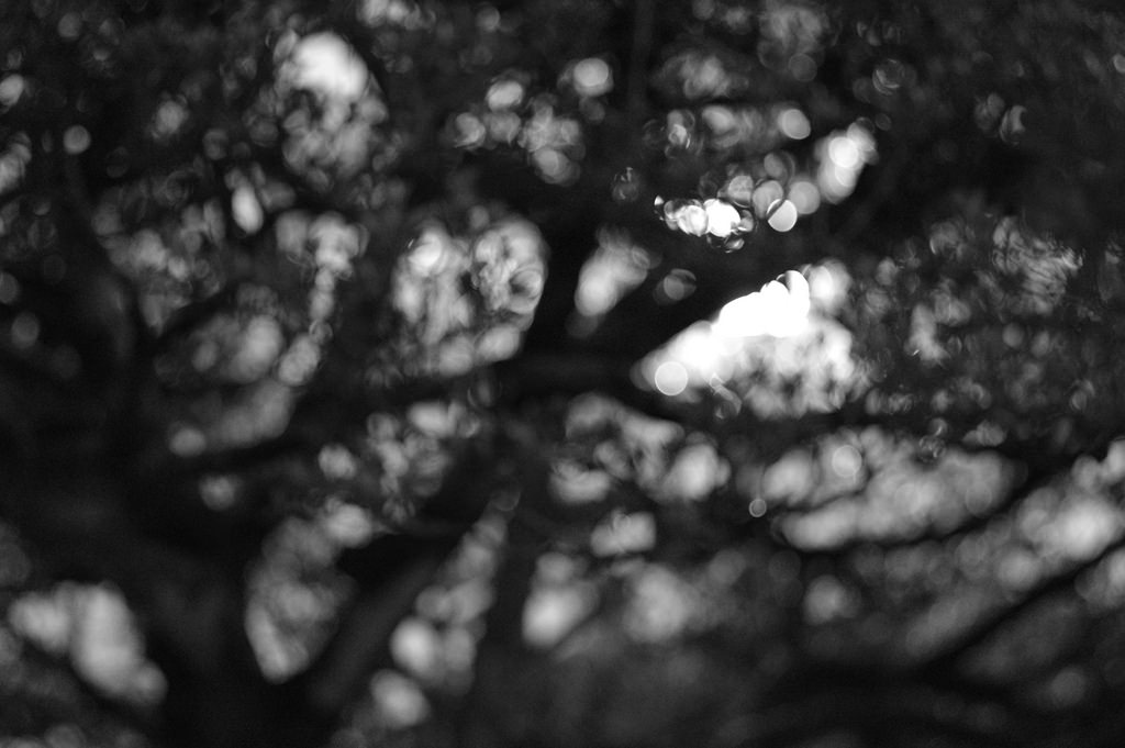 【開箱‧評測】PENTAX SMC FA 77mm F1.8 Limited|白銀傳說‧冷豔公主 【開箱‧評測】PENTAX SMC FA 77mm F1.8 Limited|白銀傳說‧冷豔公主