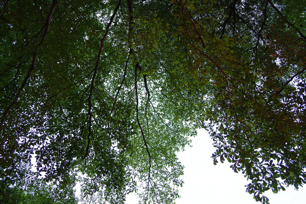 【開箱‧評測】HD PENTAX-DA 16-85mm F3.5-5.6 ED DC WR|PENTAX誠意之作.防塵防滴新世代旅遊鏡 【開箱‧評測】HD PENTAX-DA 16-85mm F3.5-5.6 ED DC WR|PENTAX誠意之作.防塵防滴新世代旅遊鏡