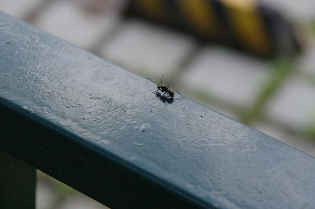 【開箱‧評測】HD PENTAX-DA 16-85mm F3.5-5.6 ED DC WR|PENTAX誠意之作.防塵防滴新世代旅遊鏡 【開箱‧評測】HD PENTAX-DA 16-85mm F3.5-5.6 ED DC WR|PENTAX誠意之作.防塵防滴新世代旅遊鏡