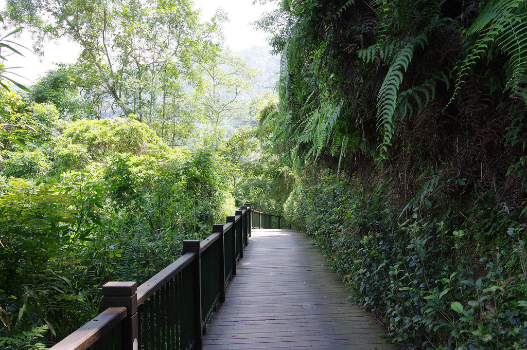【開箱‧評測】HD PENTAX-DA 16-85mm F3.5-5.6 ED DC WR|PENTAX誠意之作.防塵防滴新世代旅遊鏡 【開箱‧評測】HD PENTAX-DA 16-85mm F3.5-5.6 ED DC WR|PENTAX誠意之作.防塵防滴新世代旅遊鏡