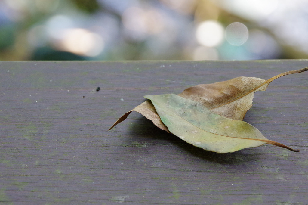 【開箱‧評測】HD PENTAX-DA 16-85mm F3.5-5.6 ED DC WR|PENTAX誠意之作.防塵防滴新世代旅遊鏡 【開箱‧評測】HD PENTAX-DA 16-85mm F3.5-5.6 ED DC WR|PENTAX誠意之作.防塵防滴新世代旅遊鏡