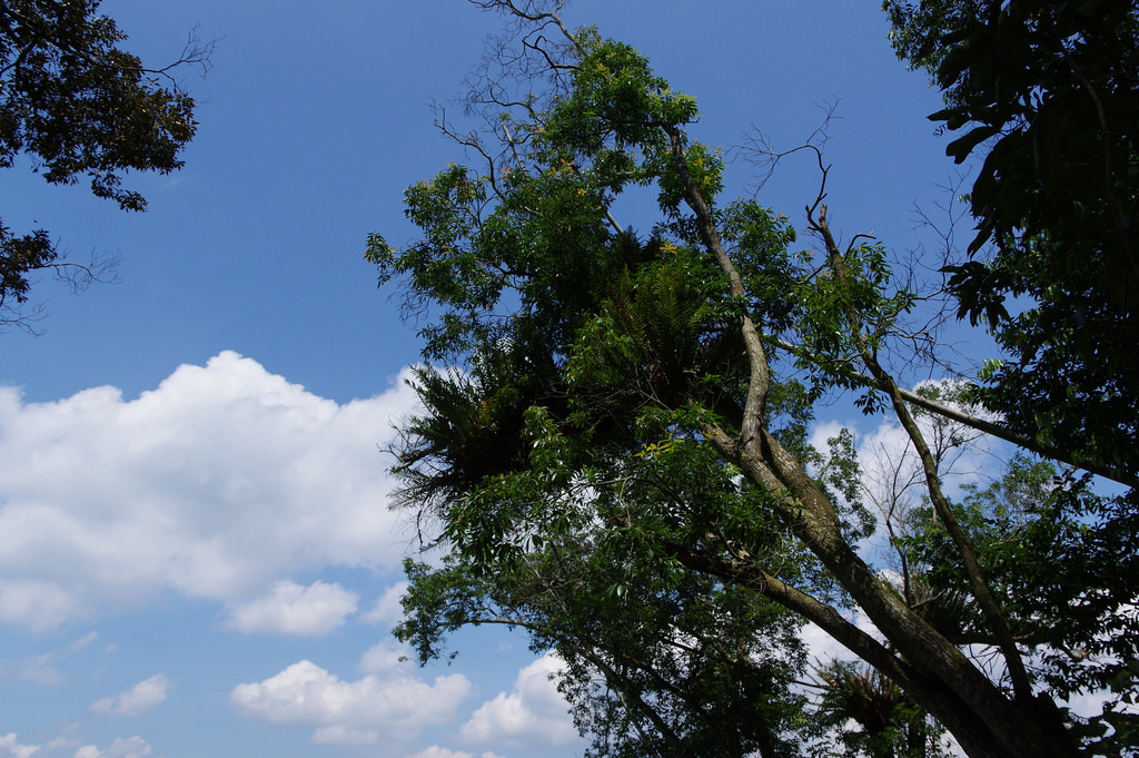 【開箱‧評測】HD PENTAX-DA 16-85mm F3.5-5.6 ED DC WR|PENTAX誠意之作.防塵防滴新世代旅遊鏡 【開箱‧評測】HD PENTAX-DA 16-85mm F3.5-5.6 ED DC WR|PENTAX誠意之作.防塵防滴新世代旅遊鏡