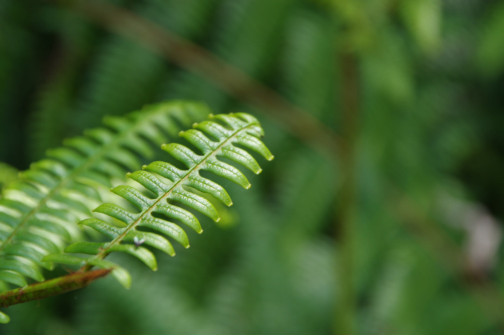 【開箱‧評測】HD PENTAX-DA 16-85mm F3.5-5.6 ED DC WR|PENTAX誠意之作.防塵防滴新世代旅遊鏡 【開箱‧評測】HD PENTAX-DA 16-85mm F3.5-5.6 ED DC WR|PENTAX誠意之作.防塵防滴新世代旅遊鏡
