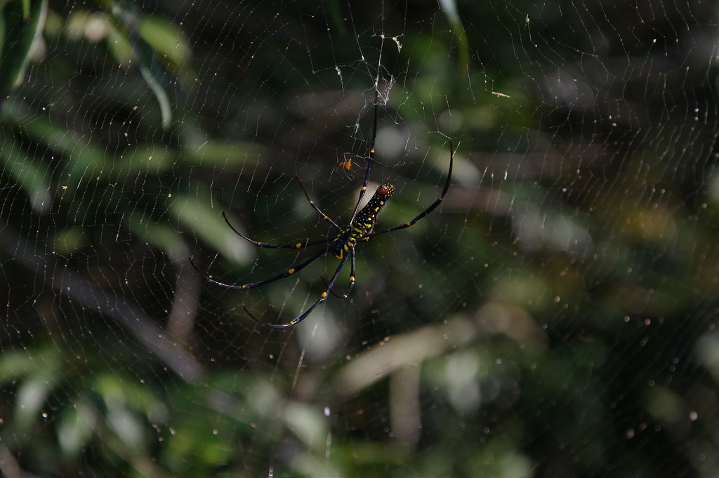 【開箱‧評測】HD PENTAX-DA 16-85mm F3.5-5.6 ED DC WR|PENTAX誠意之作.防塵防滴新世代旅遊鏡 【開箱‧評測】HD PENTAX-DA 16-85mm F3.5-5.6 ED DC WR|PENTAX誠意之作.防塵防滴新世代旅遊鏡
