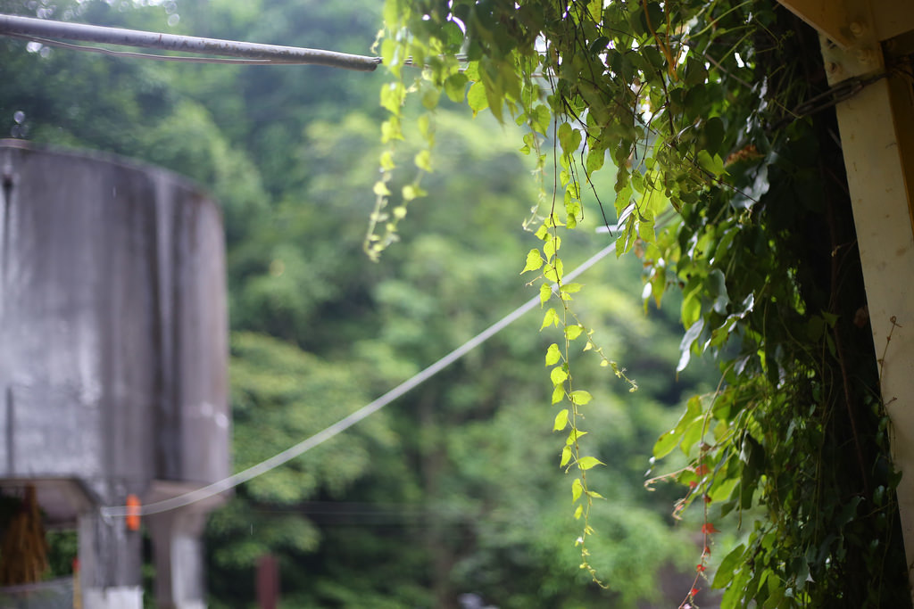Canon EF 50mm F1.8 STM.終極核武|CP封神の窮人大光圈 Canon EF 50mm F1.8 STM.終極核武|CP封神の窮人大光圈