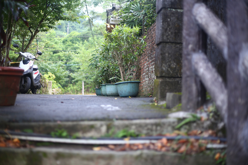 Canon EF 50mm F1.8 STM.終極核武|CP封神の窮人大光圈 Canon EF 50mm F1.8 STM.終極核武|CP封神の窮人大光圈