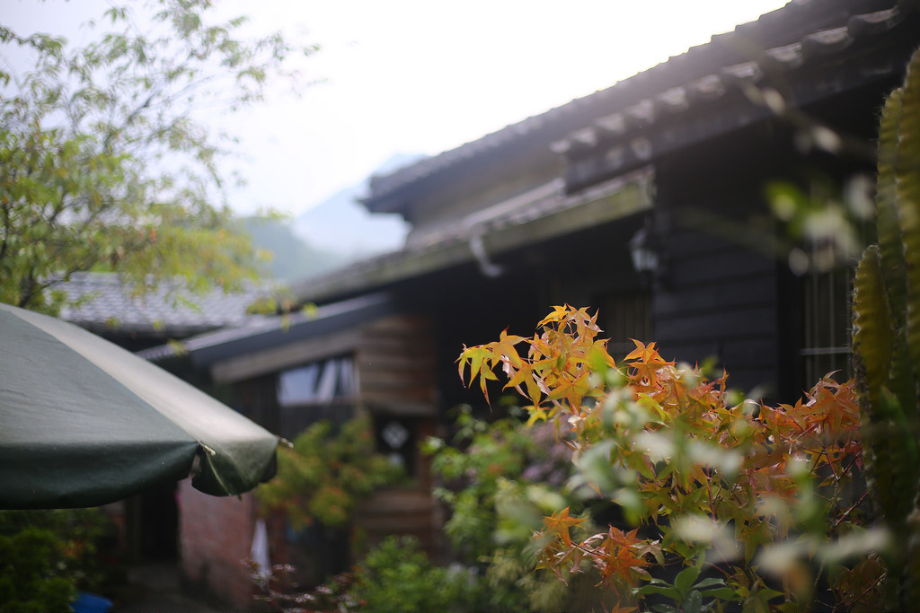 Canon EF 50mm F1.8 STM.終極核武|CP封神の窮人大光圈 Canon EF 50mm F1.8 STM.終極核武|CP封神の窮人大光圈