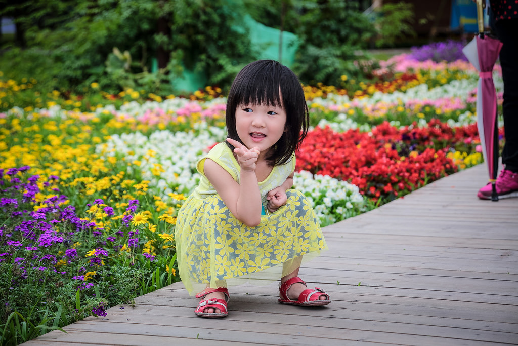 【中肯‧遊記】綠色博覽會.2015.Tamron 28-300mm(A010) 【中肯‧遊記】綠色博覽會.2015.Tamron 28-300mm(A010)