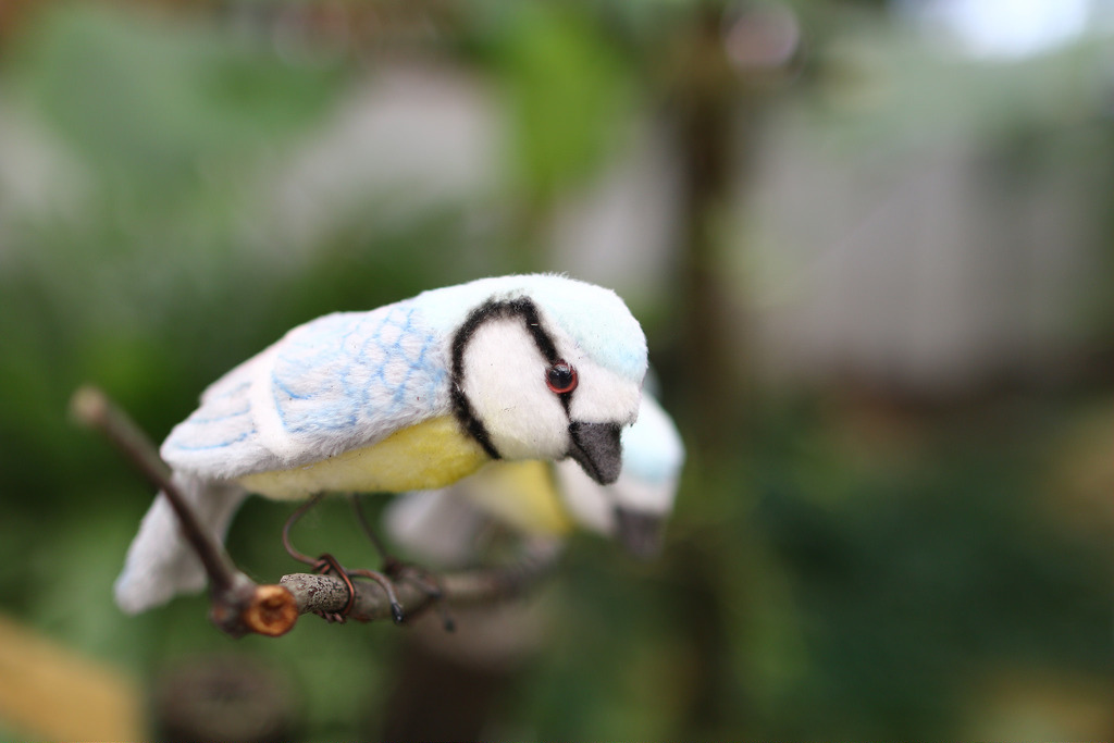 【中肯‧開箱】Canon EOS 70D‧七武器傍身の要你命三千! 【中肯‧開箱】Canon EOS 70D‧七武器傍身の要你命三千!