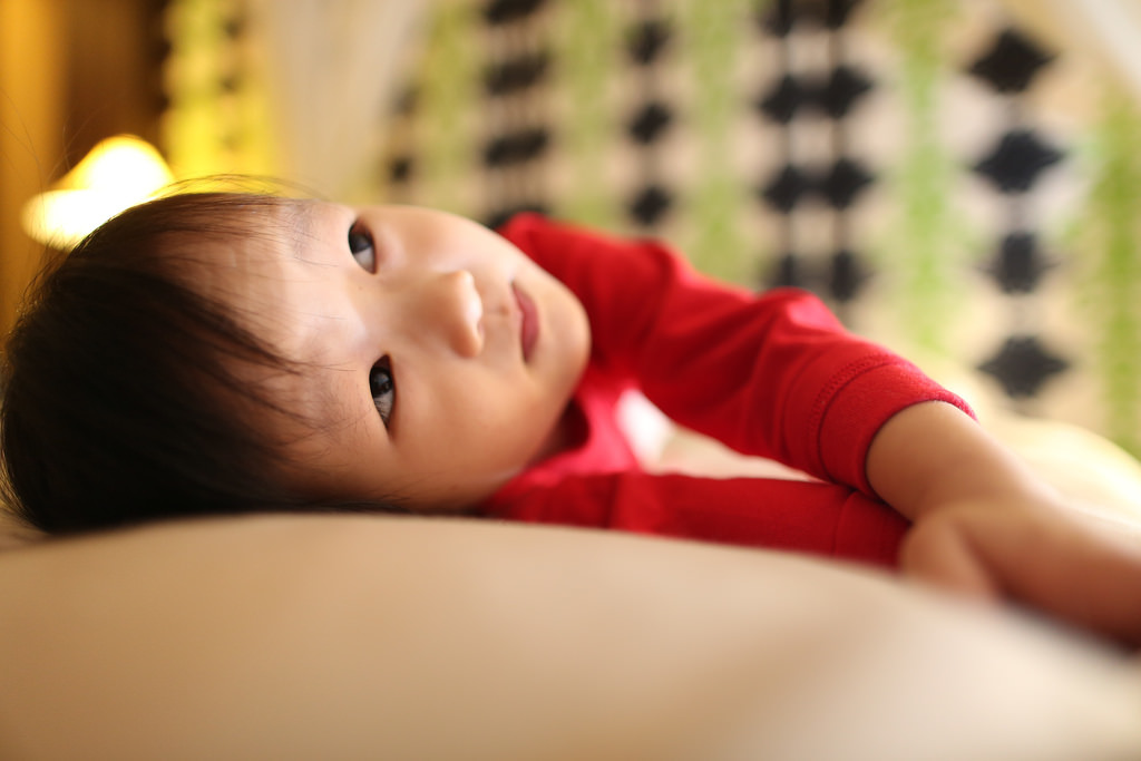 【PHOTTIX MITROS+閃燈 + Odin TTL引閃器】小包子離機閃初體驗 【PHOTTIX MITROS+閃燈 + Odin TTL引閃器】小包子離機閃初體驗