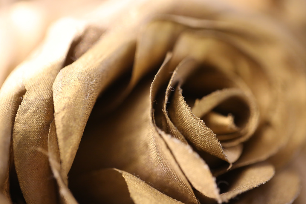 【中肯‧開箱】Canon EF 100mm f2.8L Macro IS USM‧神龍召喚! 【中肯‧開箱】Canon EF 100mm f2.8L Macro IS USM‧神龍召喚!