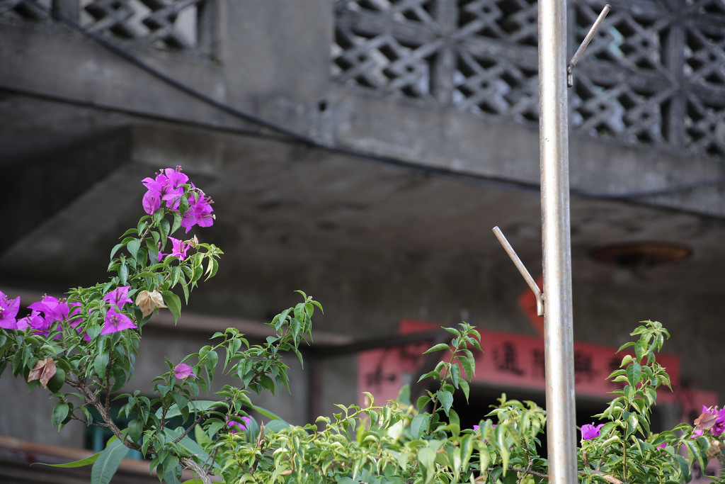Tamron 28-300mm F3.5-6.3 Di VC PZD‧十倍界王拳超級天涯鏡(A010) Tamron 28-300mm F3.5-6.3 Di VC PZD‧十倍界王拳超級天涯鏡(A010)