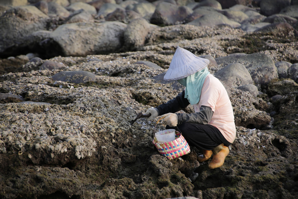 Tamron 28-300mm F3.5-6.3 Di VC PZD‧十倍界王拳超級天涯鏡(A010) Tamron 28-300mm F3.5-6.3 Di VC PZD‧十倍界王拳超級天涯鏡(A010)