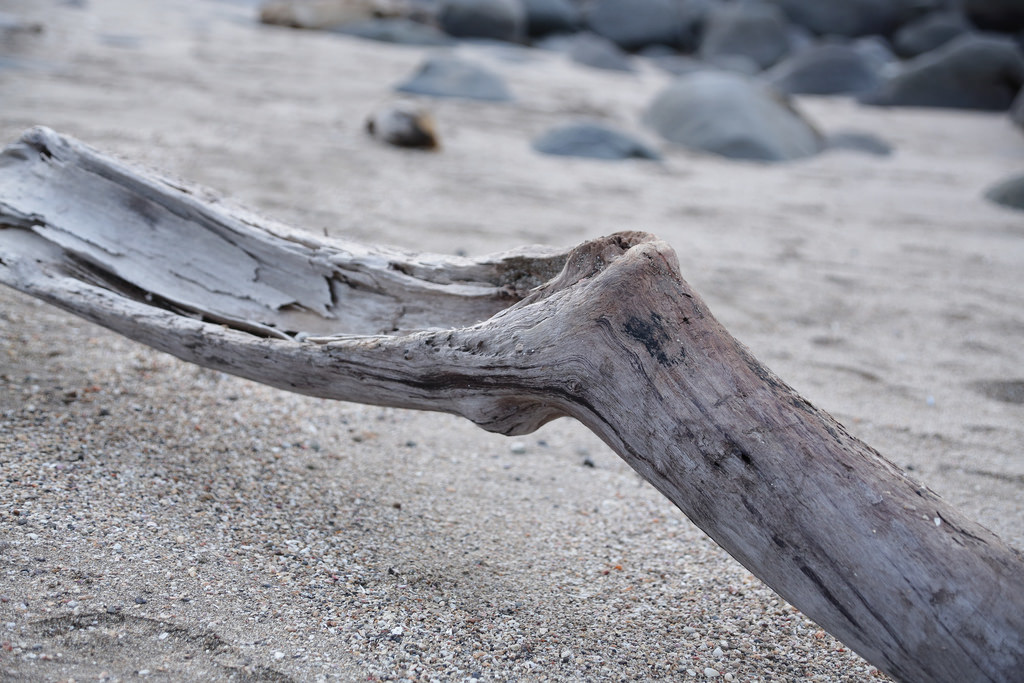 Tamron 28-300mm F3.5-6.3 Di VC PZD‧十倍界王拳超級天涯鏡(A010) Tamron 28-300mm F3.5-6.3 Di VC PZD‧十倍界王拳超級天涯鏡(A010)