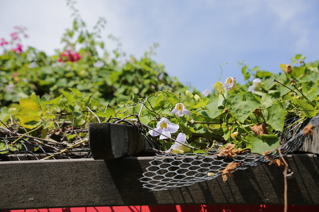 Tamron 28-300mm F3.5-6.3 Di VC PZD‧十倍界王拳超級天涯鏡(A010) Tamron 28-300mm F3.5-6.3 Di VC PZD‧十倍界王拳超級天涯鏡(A010)