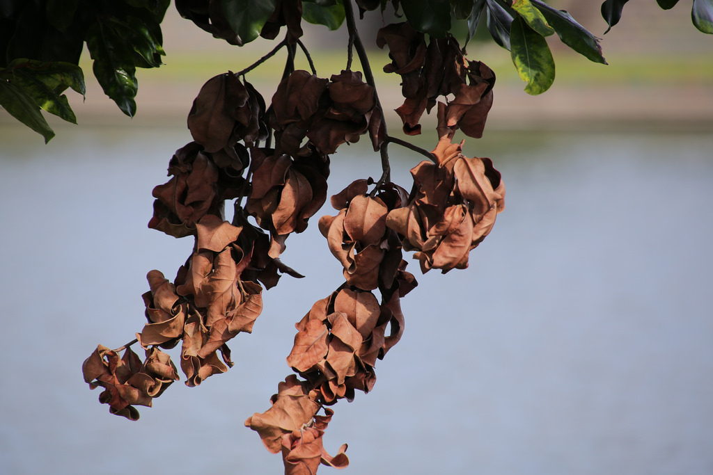 Tamron 28-300mm F3.5-6.3 Di VC PZD‧十倍界王拳超級天涯鏡(A010) Tamron 28-300mm F3.5-6.3 Di VC PZD‧十倍界王拳超級天涯鏡(A010)