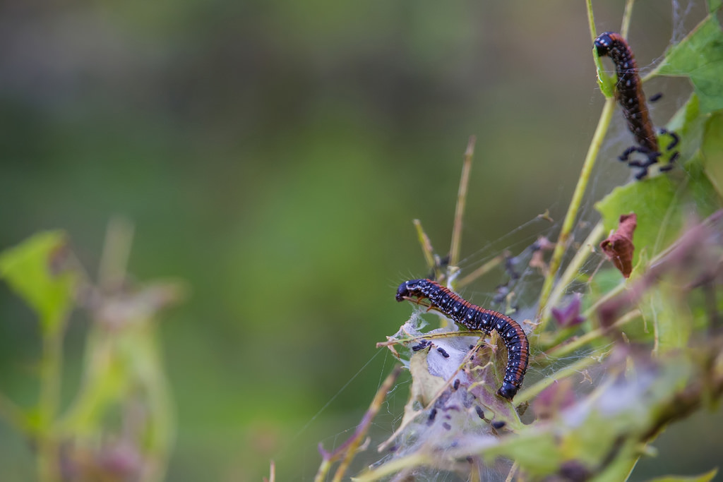 Tamron 28-300mm F3.5-6.3 Di VC PZD‧十倍界王拳超級天涯鏡(A010) Tamron 28-300mm F3.5-6.3 Di VC PZD‧十倍界王拳超級天涯鏡(A010)