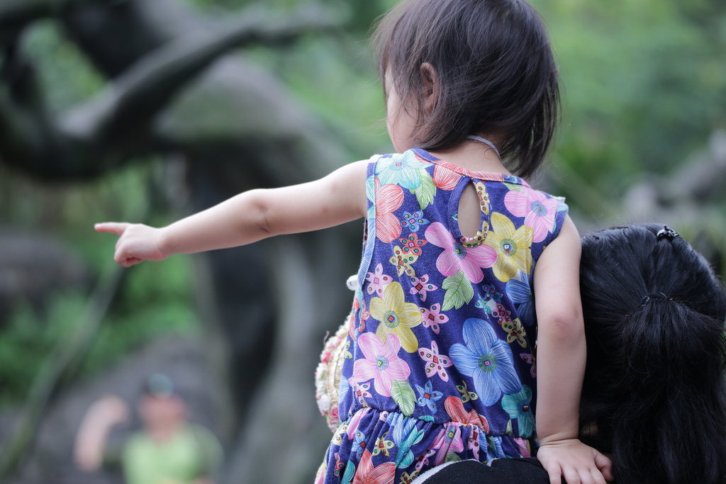 【中肯‧實拍】Tamron SP 150-600mm F5-6.3 Di VC USD‧以下犯上的高畫質平民巨砲 【中肯‧實拍】Tamron SP 150-600mm F5-6.3 Di VC USD‧以下犯上的高畫質平民巨砲