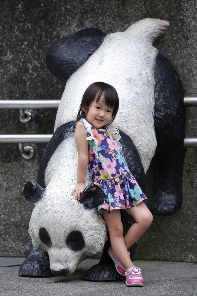 【中肯‧實拍】Tamron SP 150-600mm F5-6.3 Di VC USD‧以下犯上的高畫質平民巨砲 【中肯‧實拍】Tamron SP 150-600mm F5-6.3 Di VC USD‧以下犯上的高畫質平民巨砲