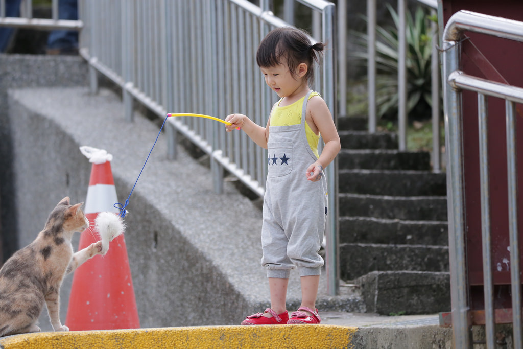 【中肯‧實拍】Tamron SP 150-600mm F5-6.3 Di VC USD‧以下犯上的高畫質平民巨砲 【中肯‧實拍】Tamron SP 150-600mm F5-6.3 Di VC USD‧以下犯上的高畫質平民巨砲