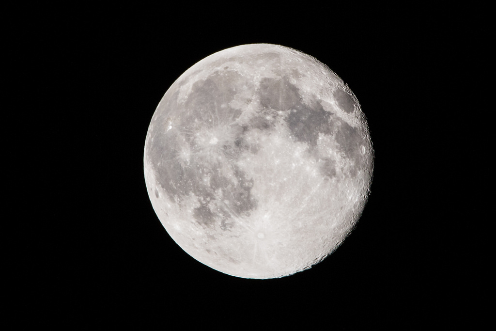 【中肯‧實拍】Tamron SP 150-600mm F5-6.3 Di VC USD‧以下犯上的高畫質平民巨砲 【中肯‧實拍】Tamron SP 150-600mm F5-6.3 Di VC USD‧以下犯上的高畫質平民巨砲