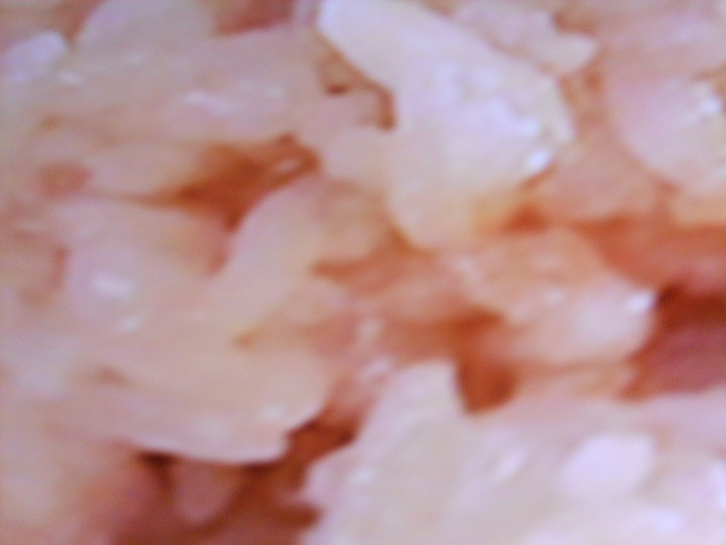 DSCN4716