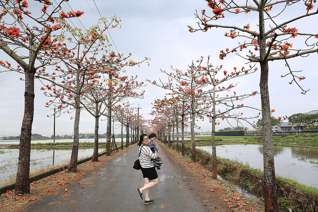 OG1A4900 【中肯‧開箱】Canon EF 24-70mm f4L IS USM‧鏡皇陰影下的高CP秀才L鏡
