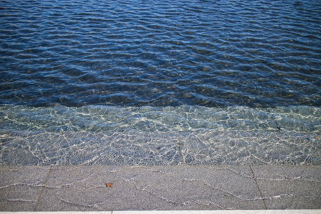 IMG_3707