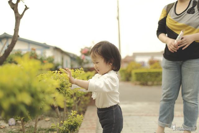 OG1A4531 EF 35mm f/1.4L USM關箱紀念‧菁寮無米樂老街