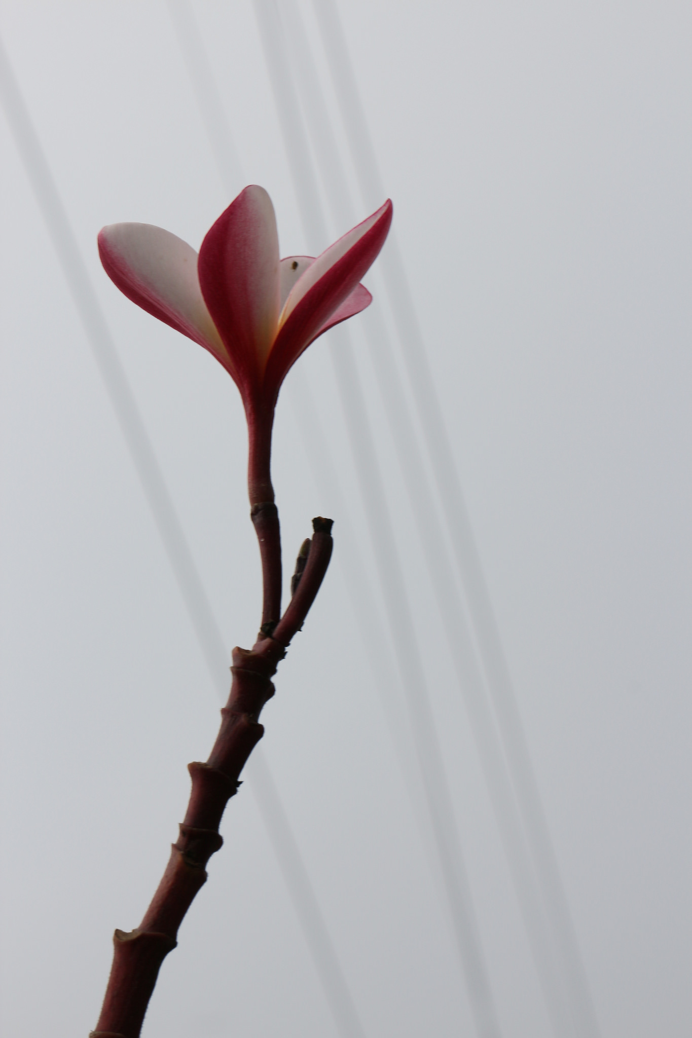 【中肯‧開箱】EOS M實戰心得‧EF-M 18-55mm F/3.5-5.6 IS STM 【中肯‧開箱】EOS M實戰心得‧EF-M 18-55mm F/3.5-5.6 IS STM