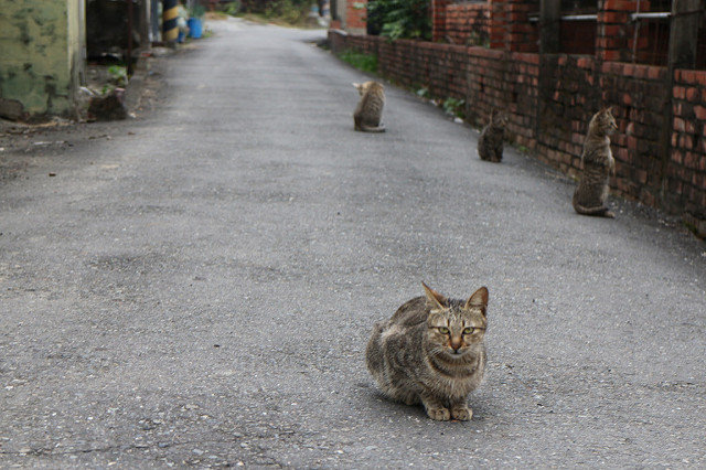 【中肯‧開箱】EOS M實戰心得‧EF-M 18-55mm F/3.5-5.6 IS STM 【中肯‧開箱】EOS M實戰心得‧EF-M 18-55mm F/3.5-5.6 IS STM