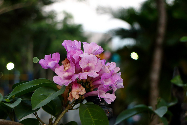 【中肯‧開箱】EOS M實戰心得‧EF-M 18-55mm F/3.5-5.6 IS STM 【中肯‧開箱】EOS M實戰心得‧EF-M 18-55mm F/3.5-5.6 IS STM