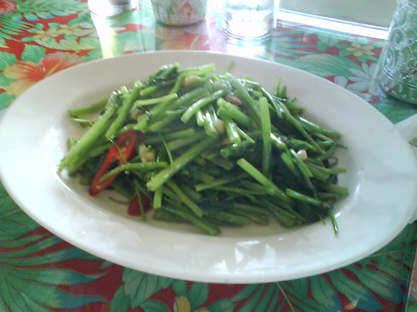 DSC02118.JPG DSC02118.JPG