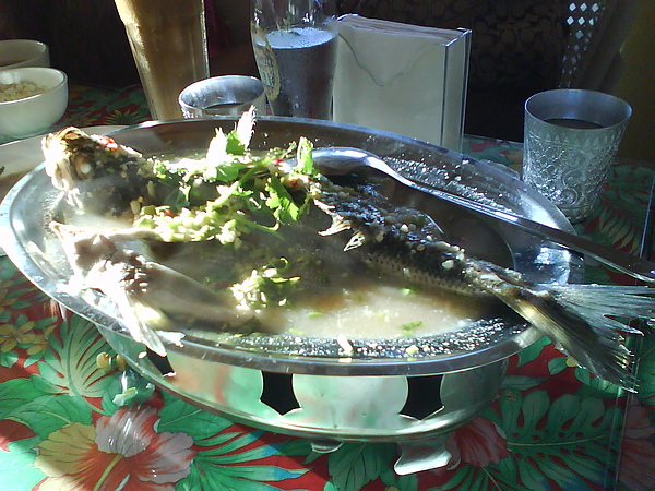 DSC02124.JPG DSC02124.JPG