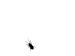 蟲子.GIF